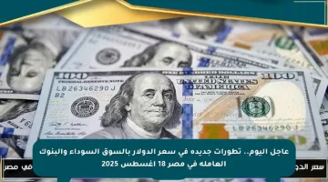 عاجل اليوم.. تطورات جديدة في سعر الدولار بالسوق السوداء والبنوك العاملة في مصر 18 أغسطس 2025